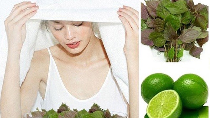 4 Bí Quyết Làm Đẹp Bằng Lá Tía Tô Để Có Làn Da Hoàn Hảo 1 Xông hơi bằng lá tía tô
