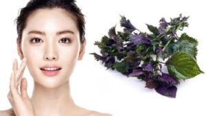 Làm đẹp bằng lá tía tô